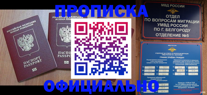 найти адрес прописки в Далматово